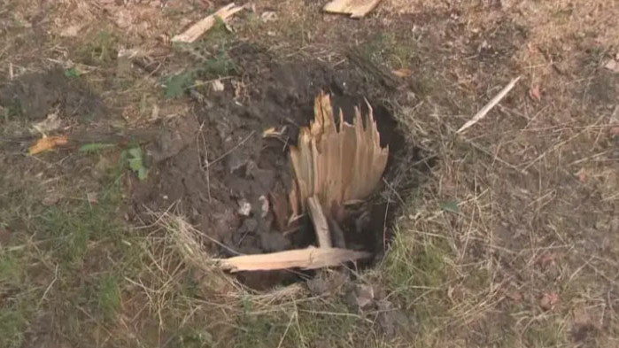 Дърво падна върху детска площадка в Русе