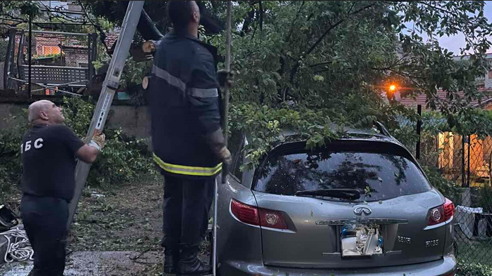 Силна буря събори дървета в Аспарухово