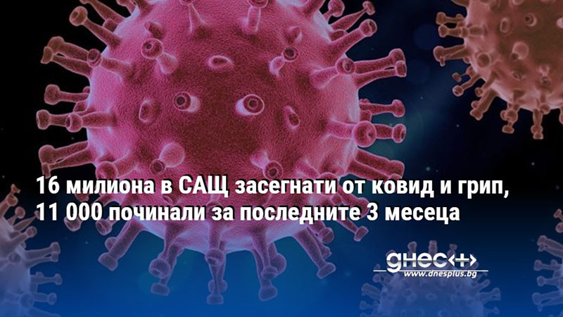 16 милиона в САЩ засегнати от ковид и грип, 11 000 починали за последните 3 месеца