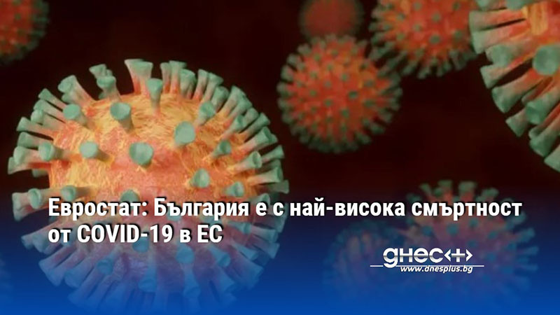 Евростат: България е с най-висока смъртност от COVID-19 в ЕС