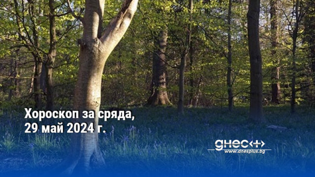 Хороскоп за сряда, 29 май 2024 г.