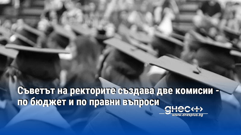 Съветът на ректорите създава две комисии - по бюджет и по правни въпроси