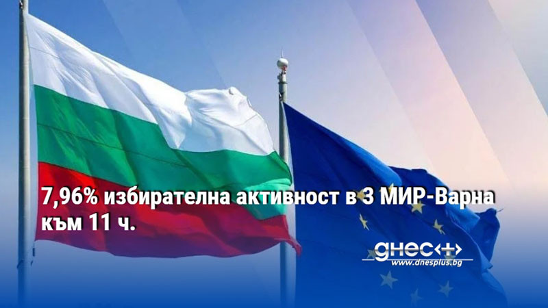 7,96% избирателна активност в 3 МИР-Варна към 11 ч.