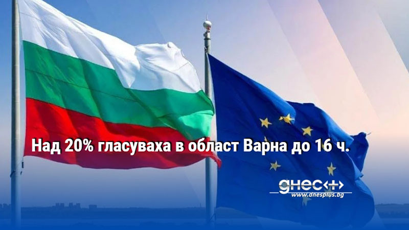 Над 20% гласуваха в област Варна до 16 ч.