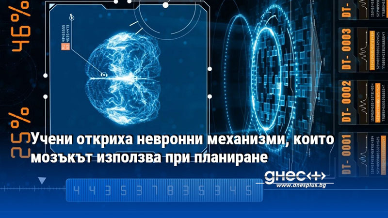 Учени откриха невронни механизми, които мозъкът използва при планиране