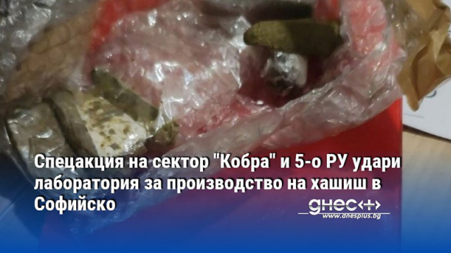 Спецакция на сектор "Кобра" и 5-о РУ удари лаборатория за производство на хашиш в Софийско