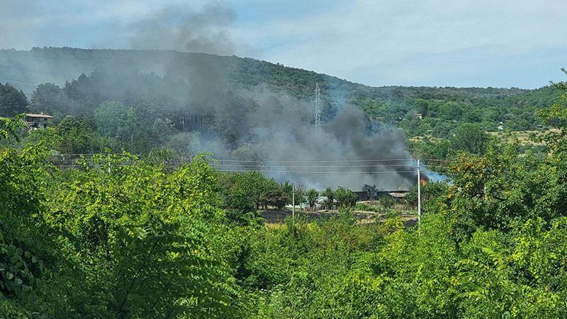 Овладян е пожар близо до вилна зона край Варна, огънят стигна до дворовете на къщите (СНИМКИ)