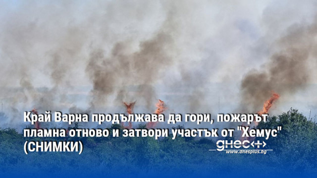 Край Варна продължава да гори, пожарът пламна отново и затвори участък от "Хемус" (СНИМКИ)