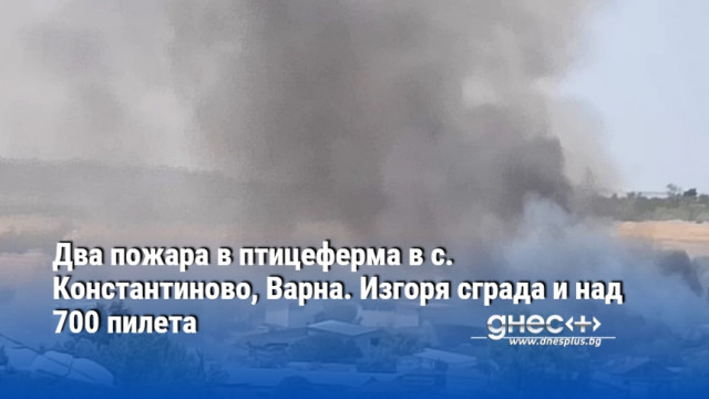 Два пожара в птицеферма в с. Константиново, Варна. Изгоря сграда и над 700 пилета (ВИДЕО)