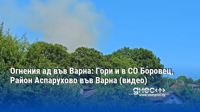 Огнения ад във Варна: Гори и в СО Боровец, Район Аспарухово във Варна (ВИДЕО)