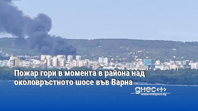 Пожар гори в момента в района на военна болница над околовръстното шосе във Варна