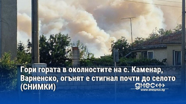 Гори гората в околностите на с. Каменар, Варненско, огънят е стигнал почти до селото ОБНОВЕНА