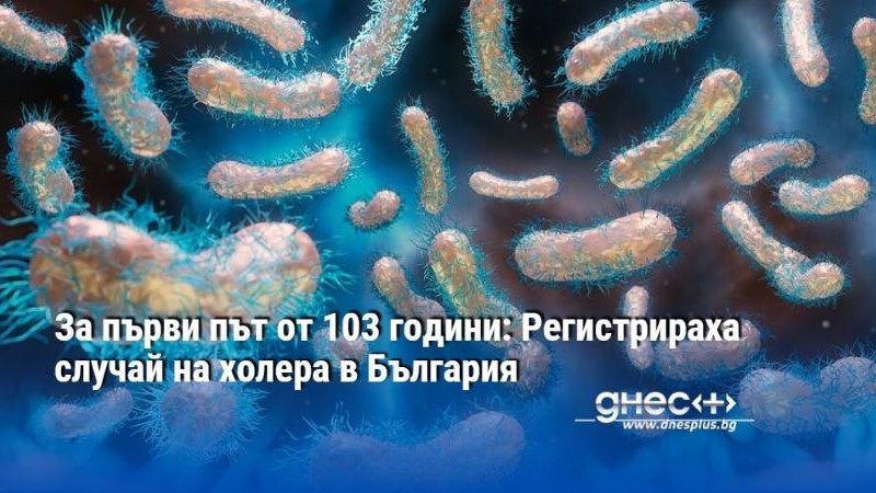 За първи път от 103 години: Регистрираха случай на холера в България