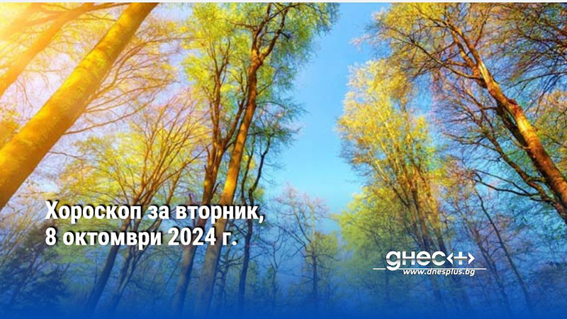 Хороскоп за вторник, 8 октомври 2024 г.