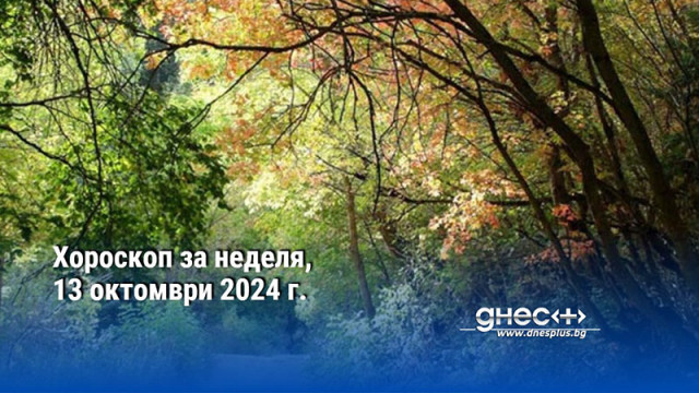 Хороскоп за неделя, 13 октомври 2024 г.