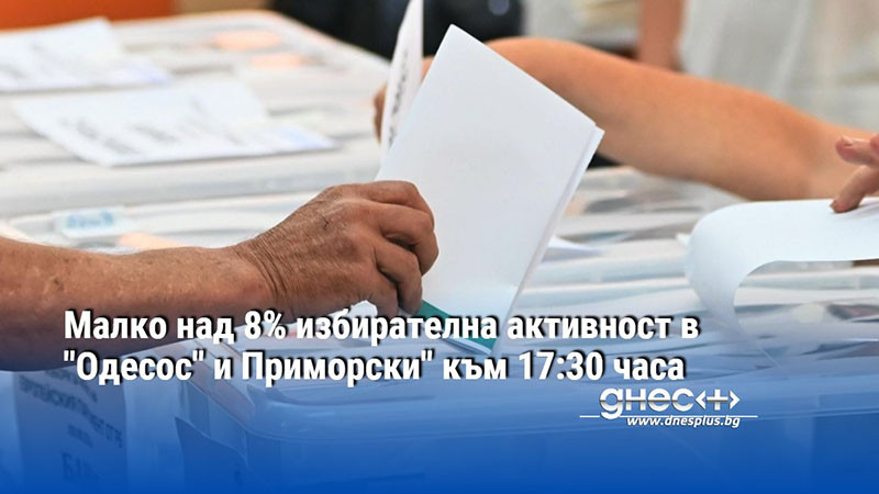 Малко над 8% избирателна активност в "Одесос" и Приморски" към 17:30 часа