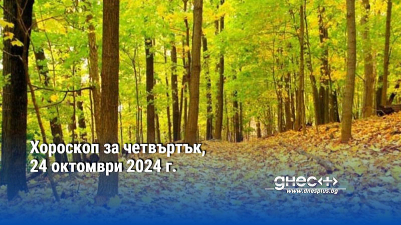 Хороскоп за четвъртък, 24 октомври 2024 г.