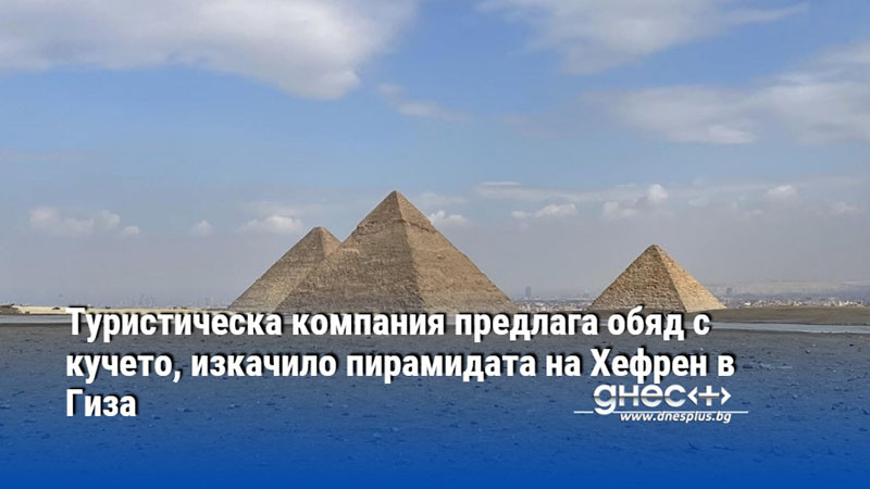 Туристическа компания предлага обяд с кучето, изкачило пирамидата на Хефрен в Гиза