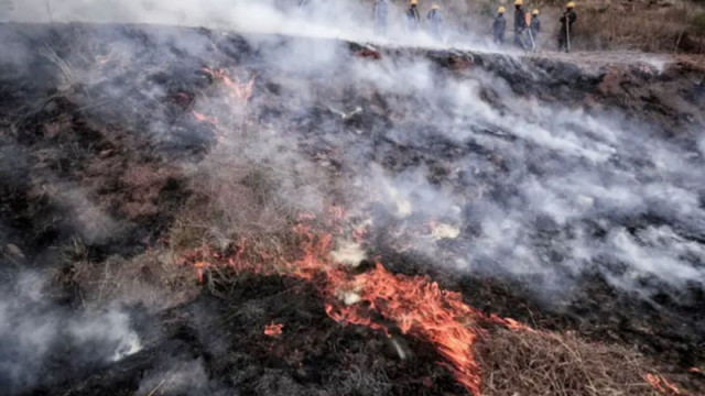 Пожар гори между Ягодово и Катуница