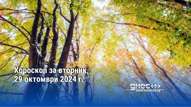 Хороскоп за вторник, 29 октомври 2024 г.