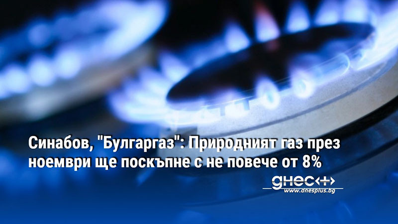 Синабов, "Булгаргаз": Природният газ през ноември ще поскъпне с не повече от 8%