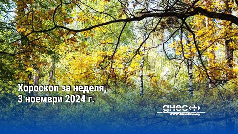 Хороскоп за неделя, 3 ноември 2024 г.