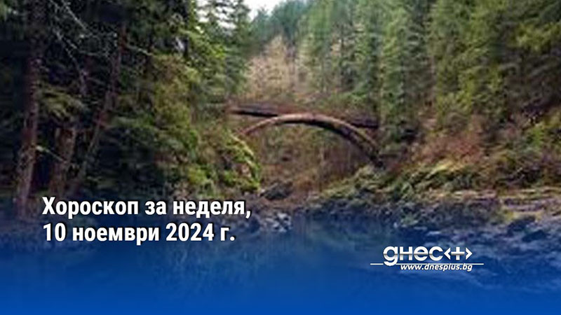 Хороскоп за неделя, 10 ноември 2024 г.