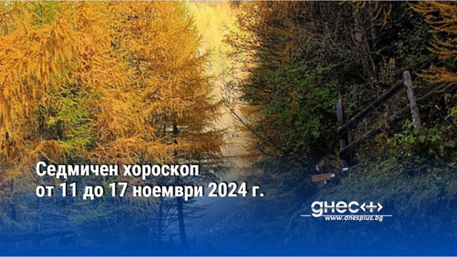 Седмичен хороскоп от 11 до 17 ноември 2024 г.