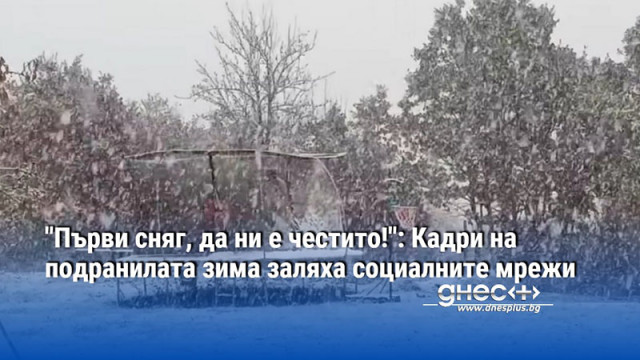 "Първи сняг, да ни е честито!": Кадри на подранилата зима заляха социалните мрежи