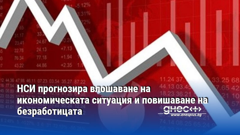 НСИ прогнозира влошаване на икономическата ситуация и повишаване на безработицата