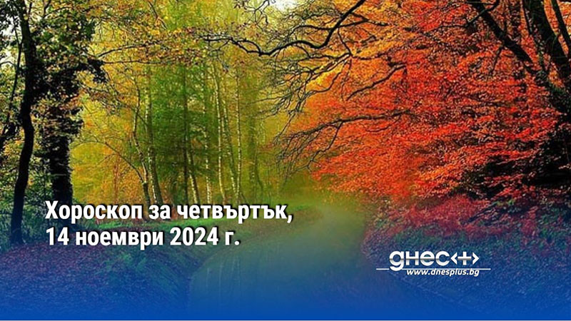 Хороскоп за четвъртък, 14 ноември 2024 г.