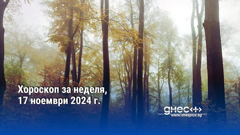 Хороскоп за неделя, 17 ноември 2024 г.