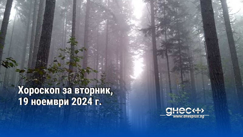 Хороскоп за вторник, 19 ноември 2024 г.