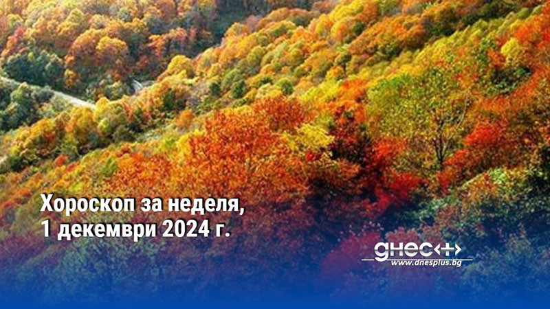 Хороскоп за неделя, 1 декември 2024 г.