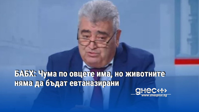 БАБХ: Чума по овцете има, но животните няма да бъдат евтаназирани