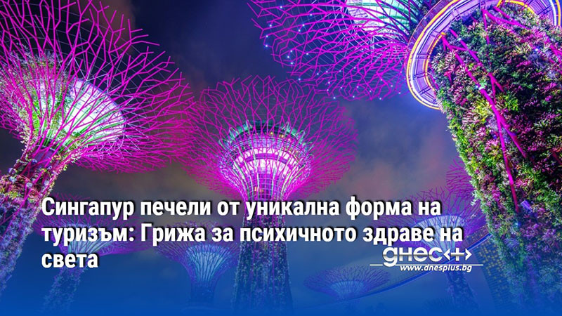 Сингапур печели от уникална форма на туризъм: Грижа за психичното здраве на света