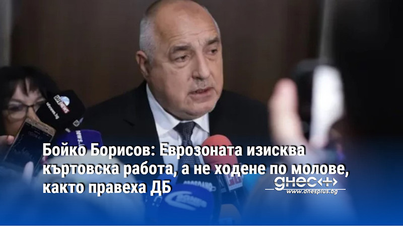 Бойко Борисов: Еврозоната изисква къртовска работа, а не ходене по молове, както правеха ДБ