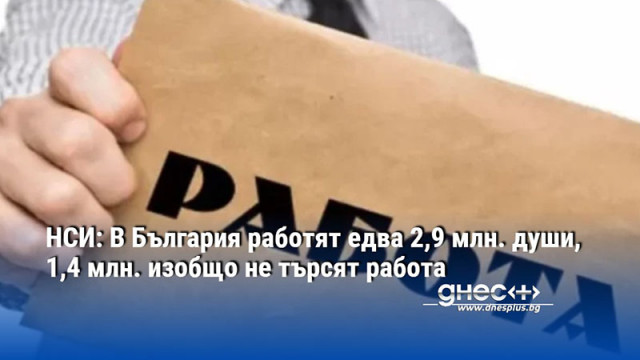 НСИ: В България работят едва 2,9 млн. души, 1,4 млн. изобщо не търсят работа