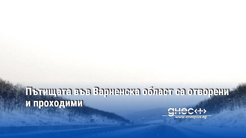 Пътищата във Варненска област са отворени и проходими