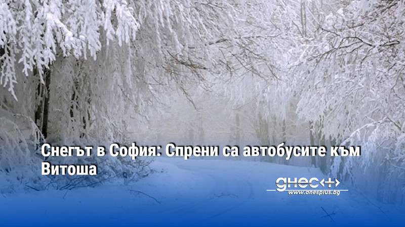 Снегът в София: Спрени са автобусите към Витоша