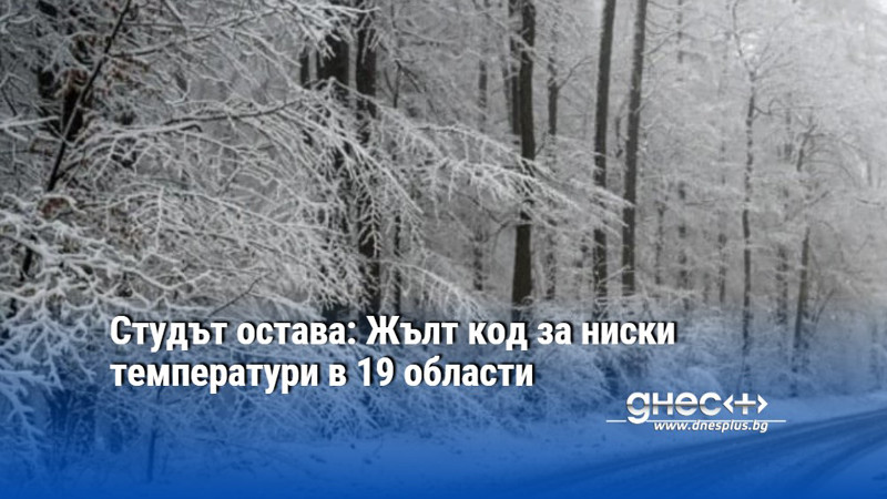 Студът остава: Жълт код за ниски температури в 19 области