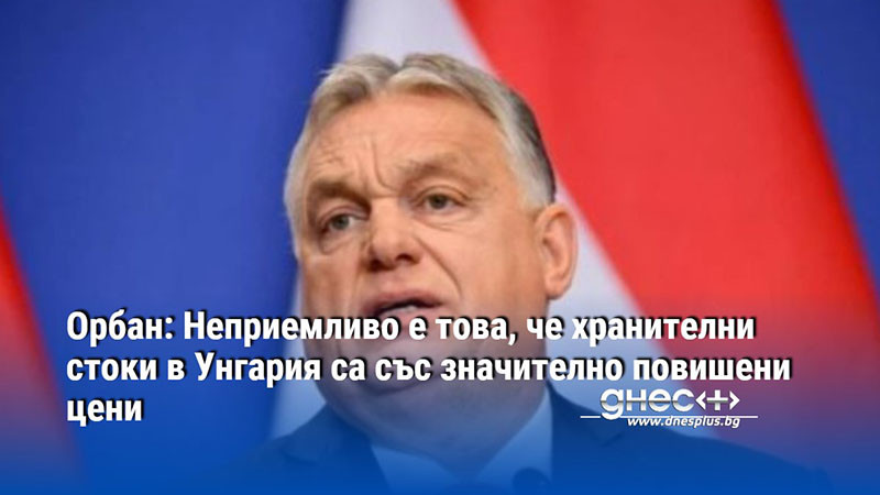 Орбан: Неприемливо е това, че хранителни стоки в Унгария са със значително повишени цени