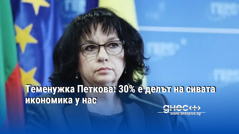 Теменужка Петкова: 30% е делът на сивата икономика у нас