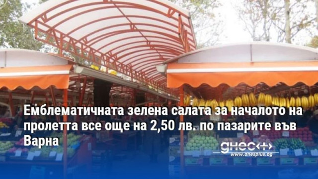 Емблематичната зелена салата за началото на пролетта все още на 2,50 лв. по пазарите във Варна