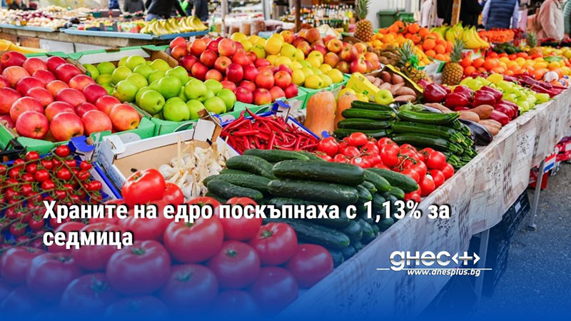 Храните на едро поскъпнаха с 1,13% за седмица