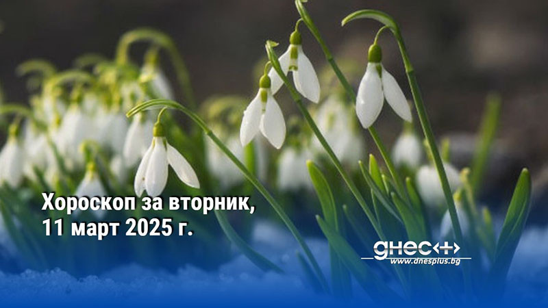 Хороскоп за вторник, 11 март 2025 г.