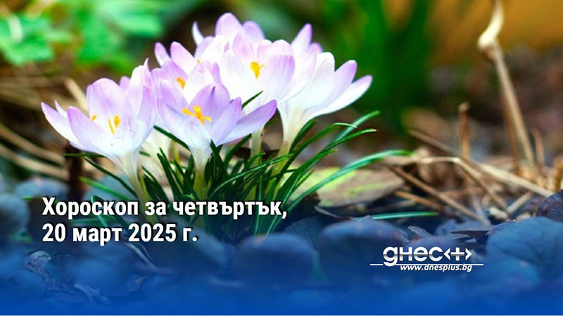 Хороскоп за четвъртък, 20 март 2025 г.