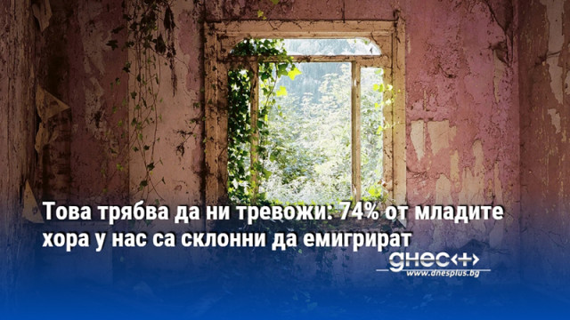 Това трябва да ни тревожи: 74% от младите хора у нас са склонни да емигрират