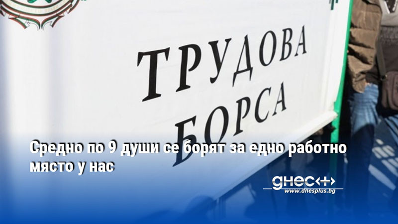 Средно по 9 души се борят за едно работно място у нас